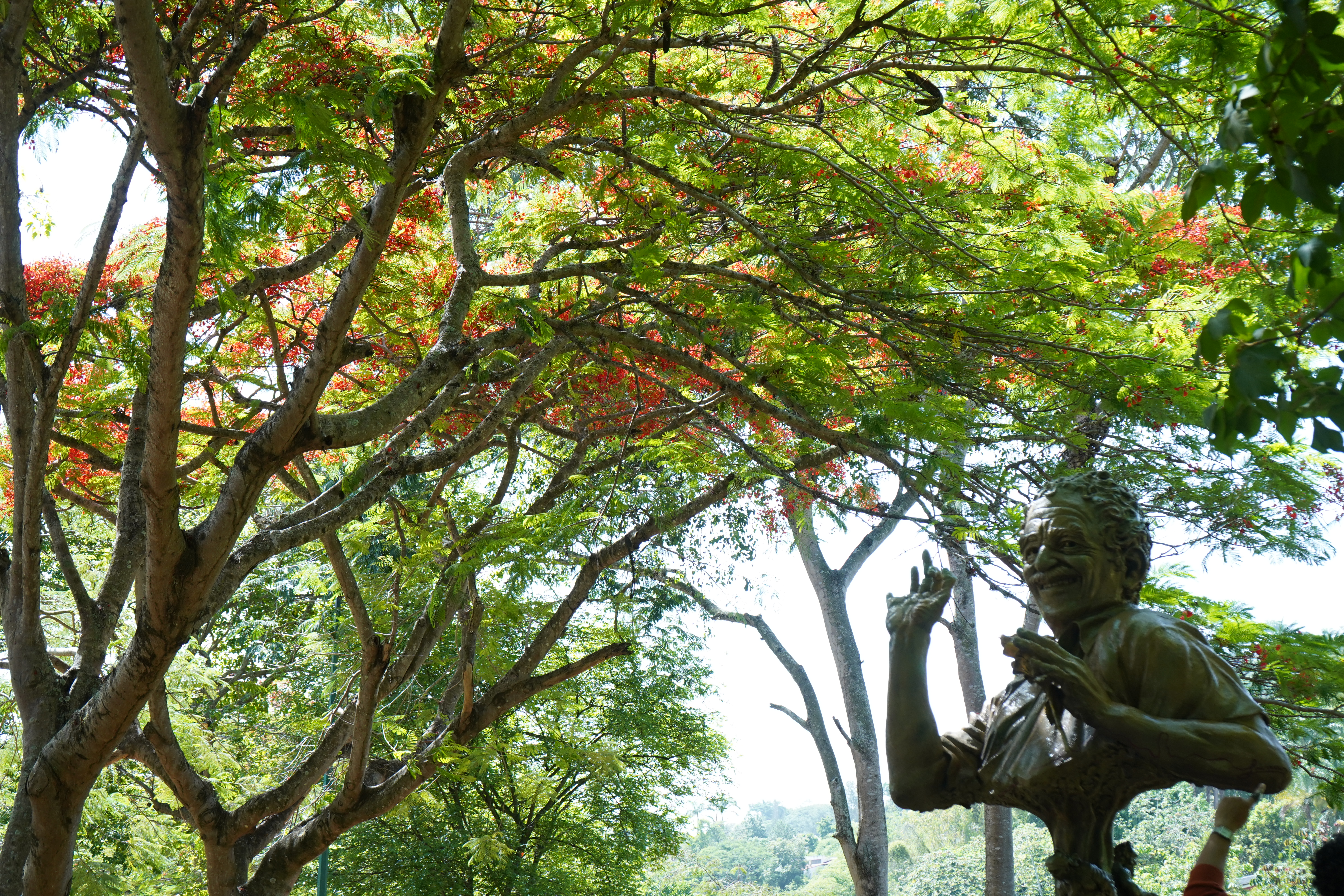 Escultura de Gabriel García Márquez realizada por el escultor venezolano Carlos Jairrán e inaugurada en el Parque de los Escritores del municipio Baruta, Caracas.