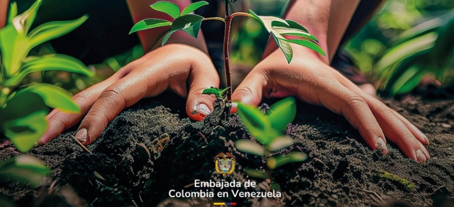 Embajada de Colombia en Venezuela invita a sembrar un árbol para conmemorar el Día Internacional de la Paz